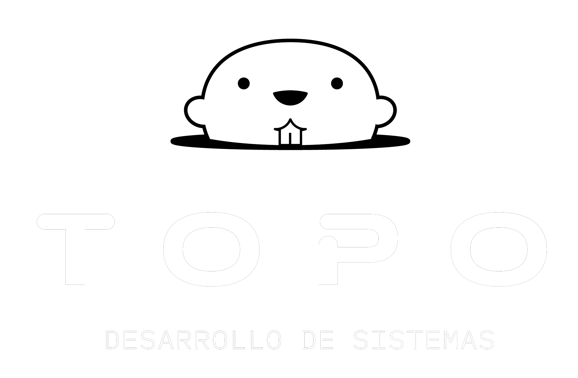 TOPO.ar — Desarrollo de sistemas